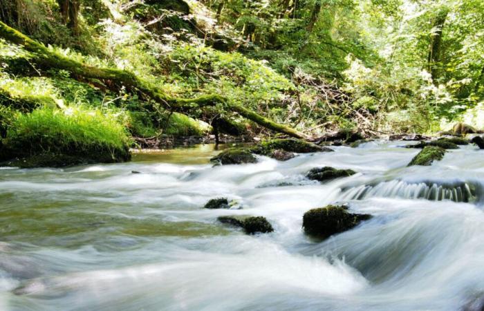 un beau livre découverte de nos milieux naturels