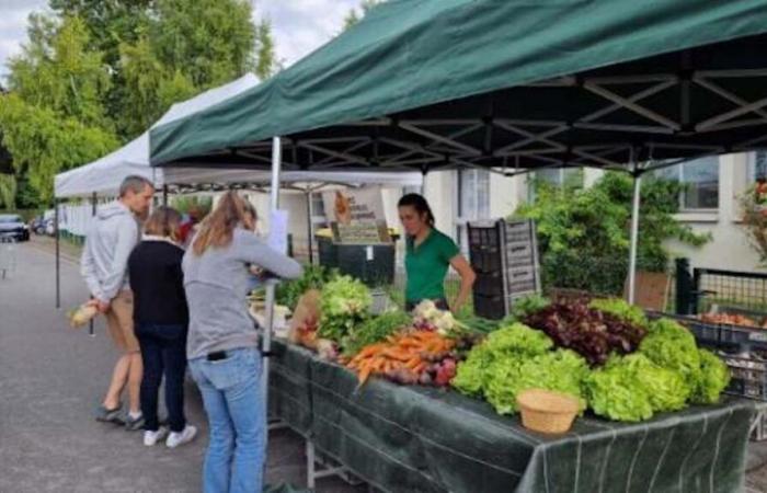 A Aÿ-Champagne, le festival « Les champs gourmands » met le bien manger au centre de l’assiette