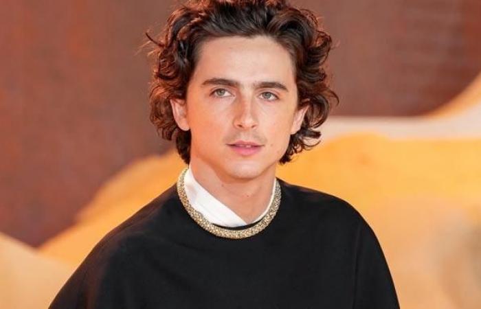 Le geste surprise de Timothée Chalamet suscite l’enthousiasme pour le nouveau film