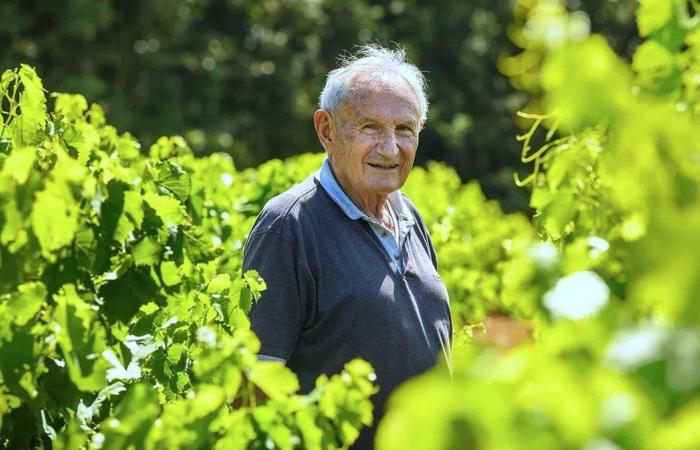 GARD Les Vignerons des Capitelles s’accordent avec vos repas de fin d’année