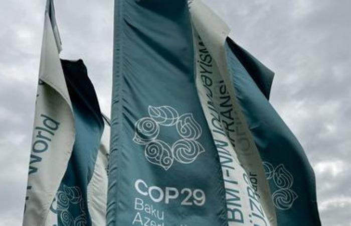 «Cette COP29 a été un véritable gâchis», dénonce Réseau Action Climat