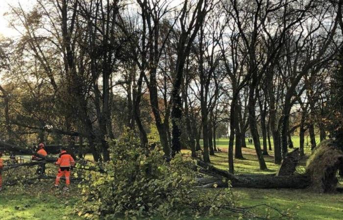 Tempête Bert. Nouvelle vigilance jaune pour la Loire-Atlantique : à quoi s’attendre ?