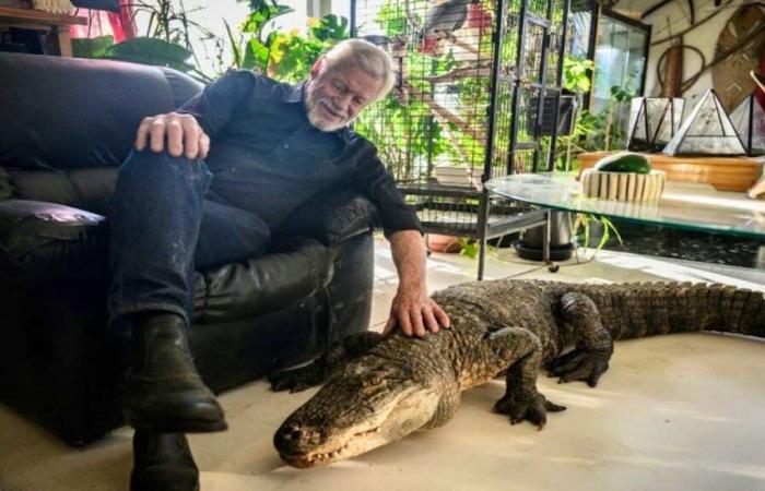 Sauver les reptiles : Philippe Gillet, YouTubeur engagé