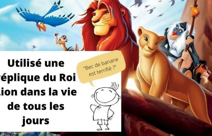 vous sauvez Mufasa si vous répondez « oui » à la moitié de ces questions « jamais posées »