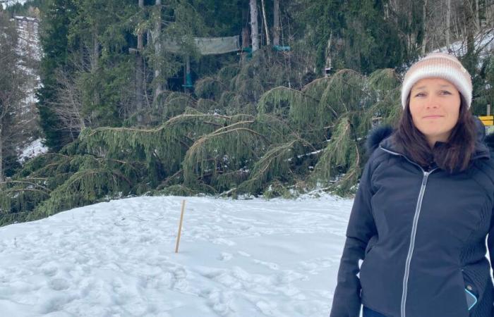 le parcours accrobranche de Valmorel ravagé par la tempête Caetano, “en deux heures, tout était parti”