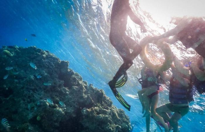 Un bateau touristique coule en mer Rouge, dix-sept personnes toujours portées disparues