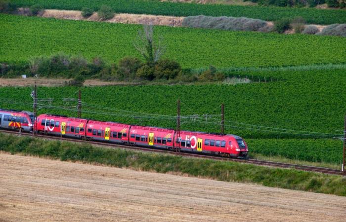 “Le trafic ferroviaire va être fortement perturbé”, un lundi compliqué pour les voyageurs de l’ouest de la région