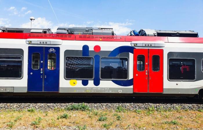 Grève, accident… Journée noire pour les trains en Occitanie ce lundi