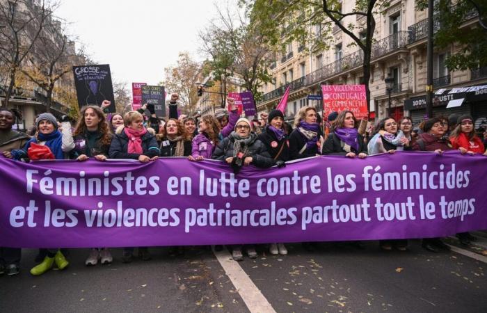 93 femmes victimes en France en 2023, selon un bilan actualisé