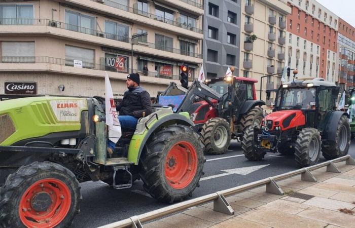 Les tracteurs arriveront à Perpignan ce mardi matin, la préfecture recommande d’éviter tout déplacement