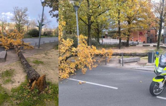 Tempête Bert : des dégâts impressionnants en Auvergne-Rhône-Alpes