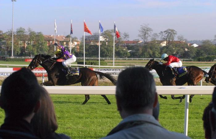 “Une chute spectaculaire en pleine ligne droite”, le jockey espagnol Ioritz Mendizabal grièvement blessé lors d’une course hippique