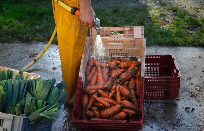 Les mégabassins de Vendée, un « modèle » plein de fuites