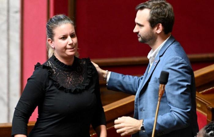 nous résumons la polémique autour du projet de loi de La France insoumise visant à abroger ce délit