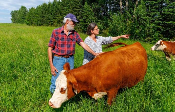 Planète bleue, idées vertes | La ferme aux milliers d’arbres