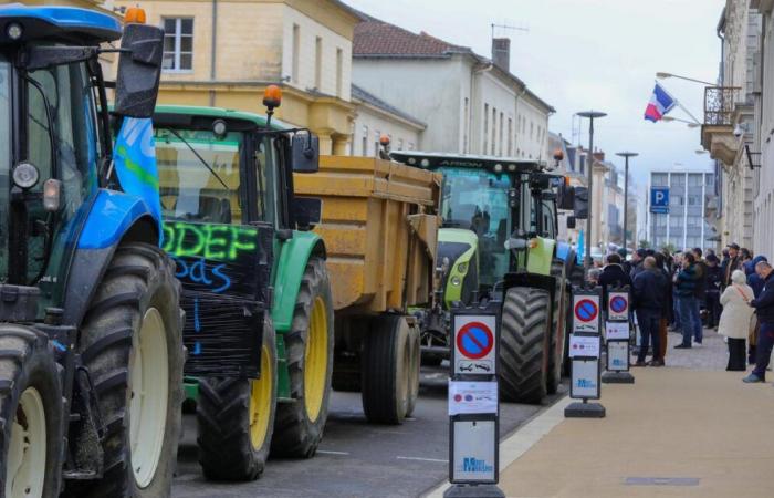 La Modef et la Confédération paysanne annoncent boycotter la séance de la Chambre d’agriculture, mardi 26 novembre