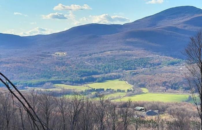 Un projet de conservation « plus grand que nature » en Estrie