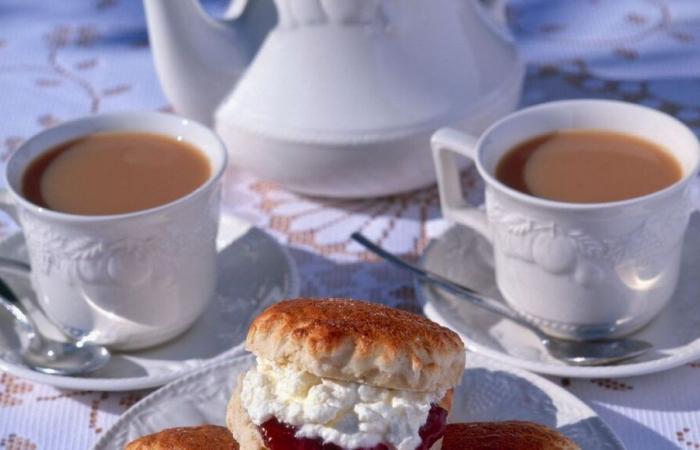 Veux-tu une tasse de thé ? Si la réponse est oui, rendez-vous au restaurant « Le Jeu de Paume » à Pau