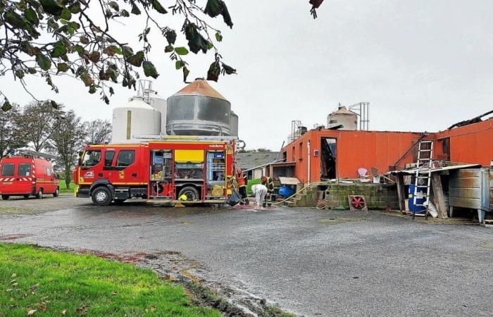 une association demande une stèle pour les cochons morts dans les flammes