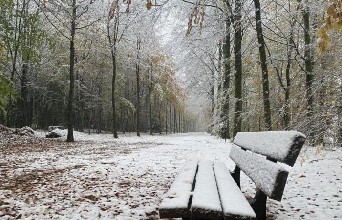 Après la neige et le vent, le parc de ce château de l’Orne fermé toute la semaine