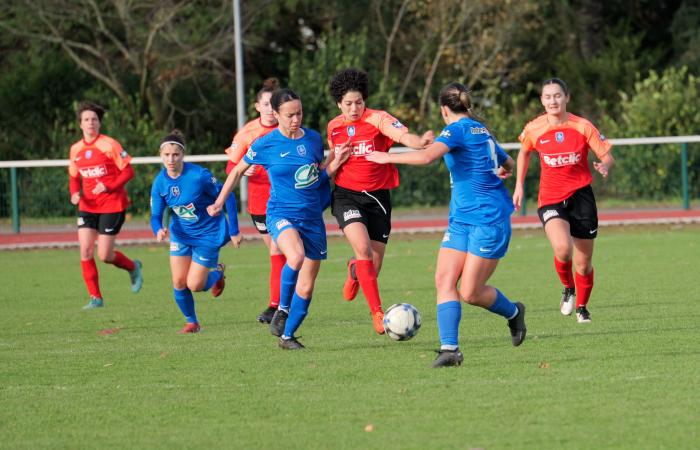 nos 4 qualifiés pour le 2ème tour fédéral – Ligue de Football des Pays de la Loire