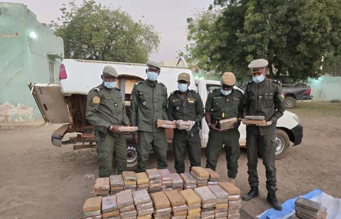 Sénégal : saisie de 235 kg de cocaïne à Koungheul