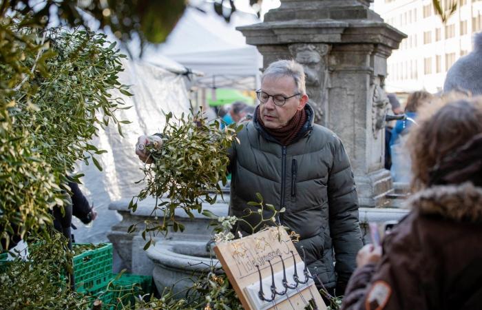 33 655 kilos d’oignons étaient proposés