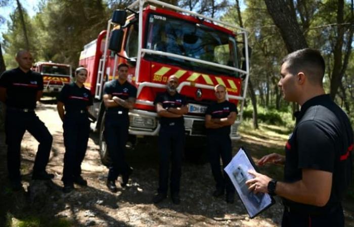 avec 206 incendies, le nombre d’incendies de forêt en baisse cette année