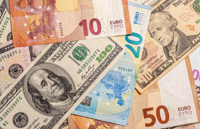 L’euro chute, le dollar stable sur le marché noir des devises