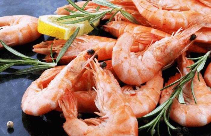 Moins de folie sur le littoral ? Les prix des crevettes de la mer du Nord pourraient atteindre des niveaux records