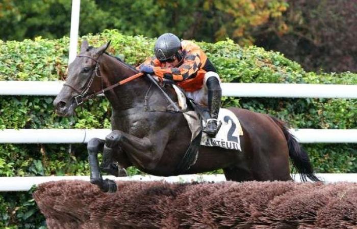 Pronostic gratuit du GRAND PARCOURS À OBSTACLE PENDANT 4 ANS (PRIX RENAUD DU VIVIER)