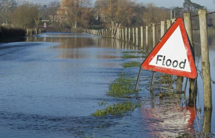 Les dernières mises à jour sur Storm Bert