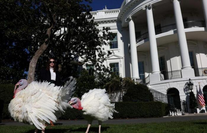 pour la dernière fois de son mandat, Joe Biden gracie deux dindes avant Thanksgiving