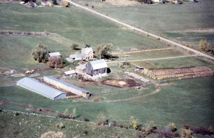 Planète bleue, idées vertes | La ferme aux milliers d’arbres