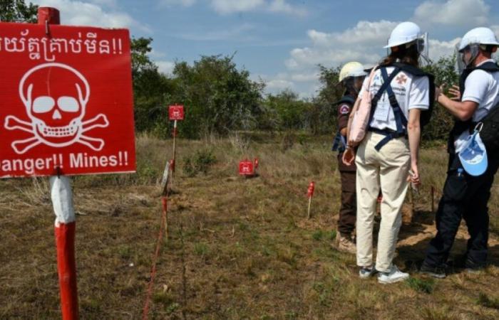 l’ONU dénonce la “menace renouvelée” des mines antipersonnel