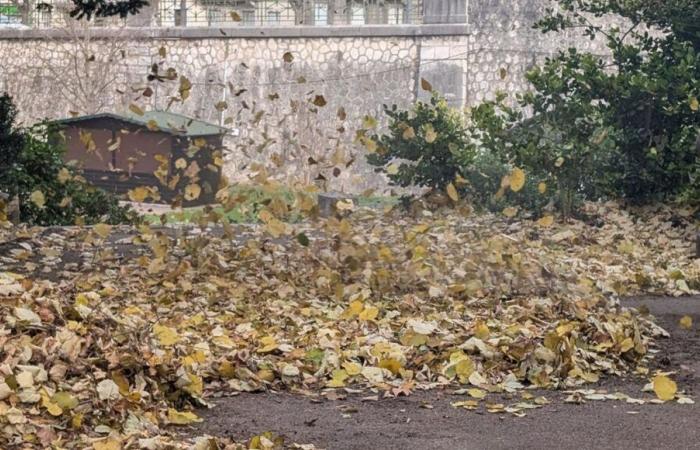 La tempête Bert souffle fort et prive 2 700 foyers d’électricité