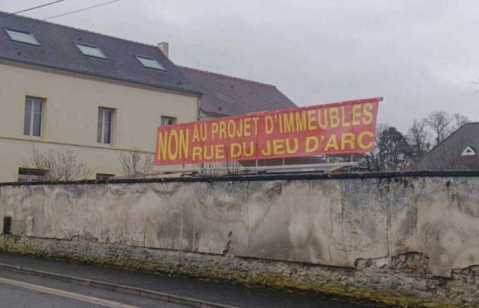 En Seine-et-Marne, ce collectif gagne son combat contre la construction d’un immeuble