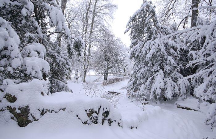 De nouvelles chutes de neige sont-elles possibles d’ici Noël ? 25/11/2024