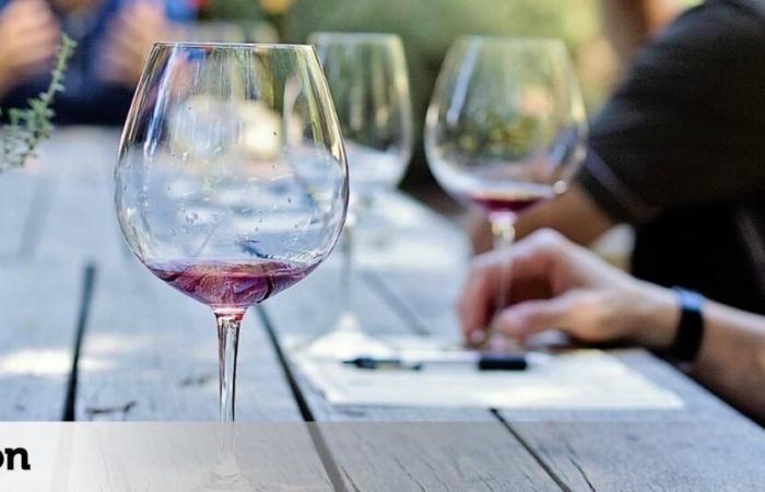 L’année prochaine, l’Université de León lance le premier microcertificat de Sommelier de la Communauté