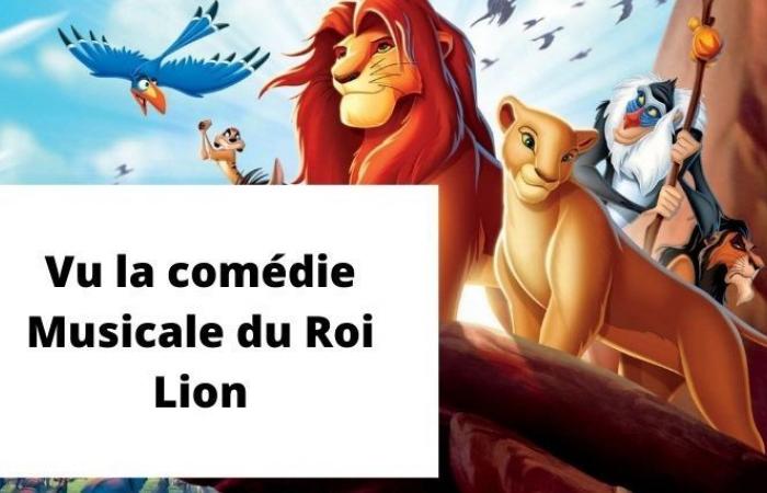 vous sauvez Mufasa si vous répondez « oui » à la moitié de ces questions « jamais posées »