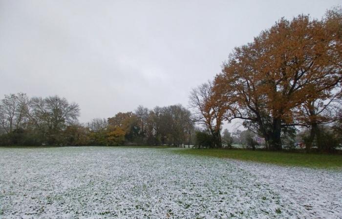 Selon Météo-France, vers un temps plus ensoleillé cette semaine dans la Sarthe ?