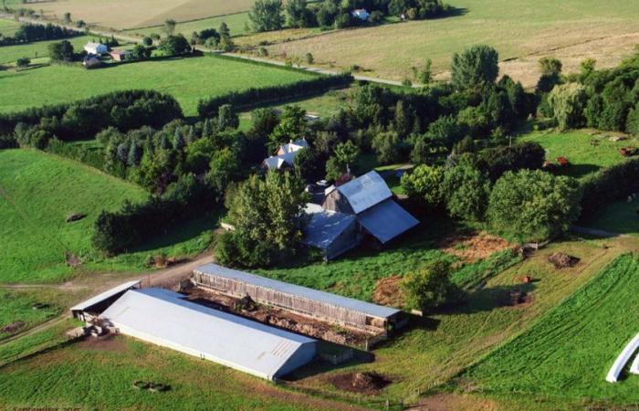 Planète bleue, idées vertes | La ferme aux milliers d’arbres