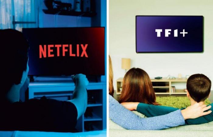 TF1 et Netflix s’associent pour co-diffuser une nouvelle fiction quotidienne