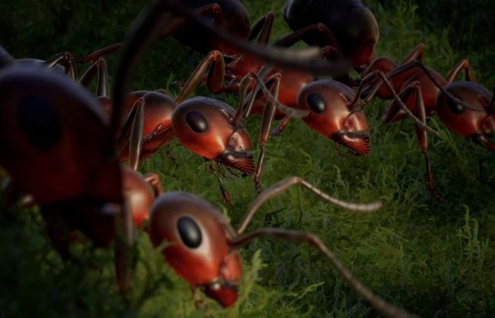 Notre avis sur Les Fourmis, un surprenant jeu de stratégie français adapté du roman de Bernard Werber