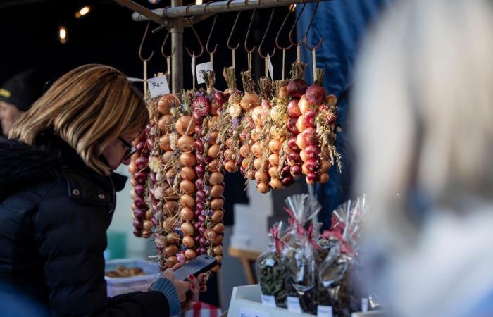 33 655 kilos d’oignons étaient proposés