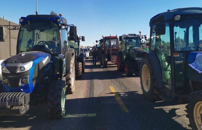 les agriculteurs mobilisés au péage entre les autoroutes A20 et A71