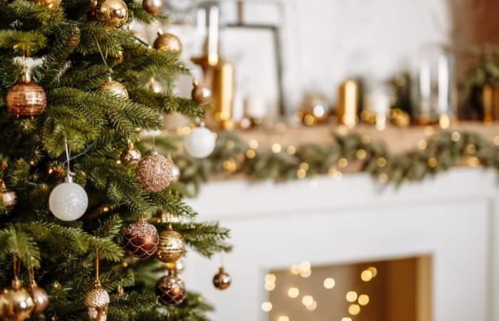 Le très populaire sapin de Noël à 2 000 euros sur TikTok coûte deux fois moins cher