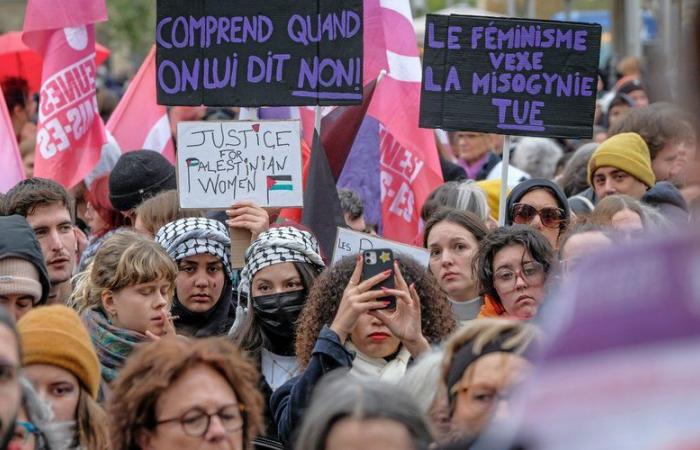 Plaintes généralisées dans les hôpitaux, formation… que prévoit le plan du gouvernement contre les violences faites aux femmes ?