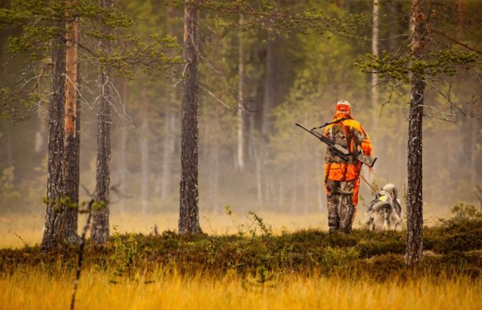 Dans la Drôme, un chasseur retrouvé mort lors d’une chasse