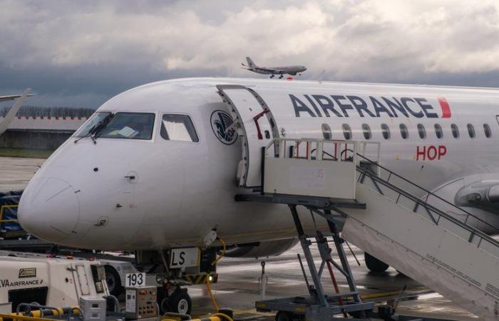 une touriste tchèque recherche son chien à l’aéroport de Roissy-Charles de Gaulle, l’animal s’est échappé de la soute d’un avion d’Air France